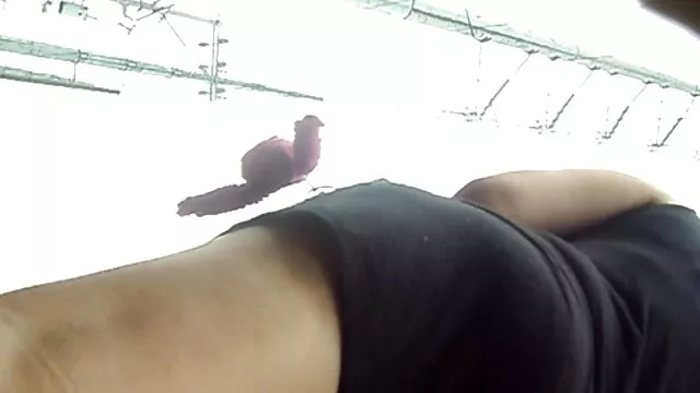 Maturo cagna perdere un giovane cazzo video vecchie troie